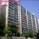 01-29 동구 이미지