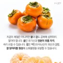 먹구봐 - 금산군 | 먹구봐
