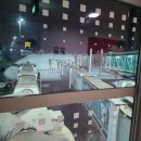 322 | 두바이에서 인천까지 EK322 탑승후기