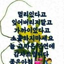 카카오 담양 김범수 사장 5조원/ 배달의 미족 완도 김봉진 사장이 5천억을 이미지