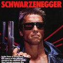 영화태권도체육관 이미지