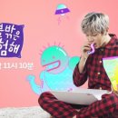 이불 속 댕댕이 이미지