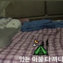 와룡천 캠핑장 이미지