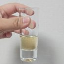 카사 쿠엘보 이미지