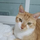 수성연합정형외과의원 이미지