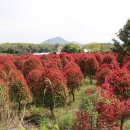 송하농장 이미지