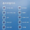 키즈파파치과 이미지