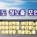 석모도 장노출포인트 _ 사하동선착장과 어류정항 장노출포인트 이미지