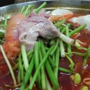 완도수산 야채막회 이미지