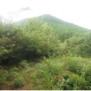 금곡2리 이미지