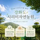 강화도 시리미 자연농원 체험 후기｜미꾸라지잡기·떼목·썰매·기차까지 아이랑 가기 좋은 곳 🍃👍