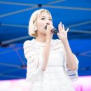 안지영 카카오 검색결과