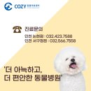 코지동물의료센터 서구청점 이미지