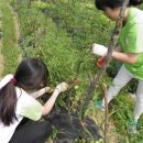 한성농장 이미지