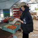 기형농장 이미지