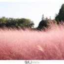 서광리-11 이미지