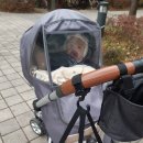 한누리어린이집 | 시간제보육후기2(구립한누리어린이집)