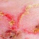 성수 숲속 피부과 동물병원 이미지