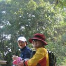 안골길 9 이미지