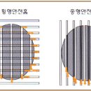 그루빙 이미지