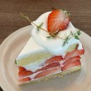 [콜링우드] 딸기케이크와 커피 솔직리뷰🍓🍰