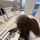 보끌레 네이버블로그