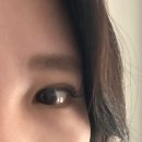 (전북 전주) 전주속눈썹연장 전주마스카라연장 효자동속눈썹연장 / 비비아나뷰티