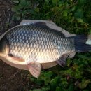 대요낚시터 이미지