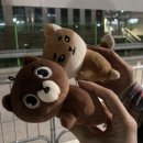 고척스카이돔 동측 이미지