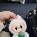 (주)유로베이크 | 2026.03.21.토요일 사진으로 기록하는 홍콩 1일차