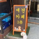 다양하개 이미지