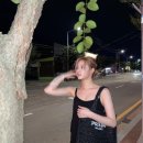 라피아 이미지