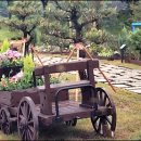 남도가든 이미지