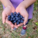 명수농장 이미지