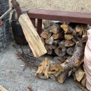 솔숲민박 - 상주시 문장로 1502-7 | 솔숲민박