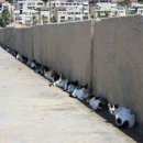 옹기종기 이미지