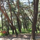 오덕 1리 이미지