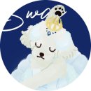 옥수수 동물병원 | [옥수수 동물병원] 옥수동강아지 '꽁이' 인플루엔자 접종
