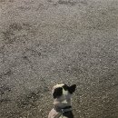 혜련슈퍼
