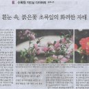 초록초록 가드닝 이미지