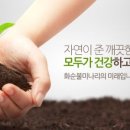화순불미나리 네이버블로그