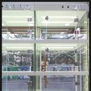 날라리 캣 이미지