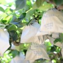 예림농장 이미지