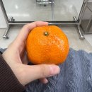 팔공티 하남미사역점 | 미사 미용실 추천 | 헤어샤압 투리짓 미사역점 모발클리닉 후기