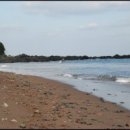 제주 올레길 5코스 이미지