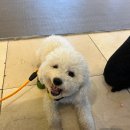 경북동물병원 이미지