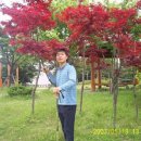 황령산 문현약수터 이미지