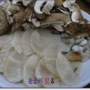 천관한우 Daum카페