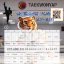 용인대 태권얍 이미지