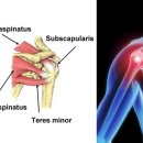 새로워 GYM 이미지